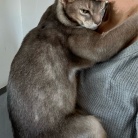 猫たち、Tちゃんをすっかり家族と思ってるような…