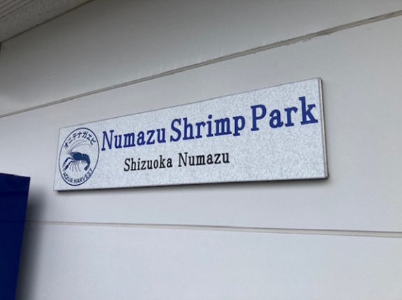 【開店】沼津ででっかいテナガエビ釣れるってマジ？しかも焼いて食べられるらしい。香貫に沼津シュリンプパークがオープンしたよ。
