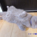 他人事ではないかも…