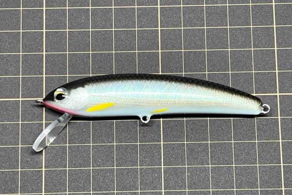 ORA Minnow Serendipity