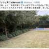 ダルビッシュ、自宅にマウンド設置ｗｗｗｗｗｗ