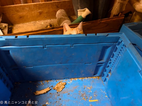 一滴も
