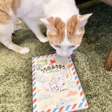 カウントダウン【２日前】