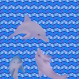 『ネコとイヌの関係』の画像