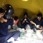 革命日誌　～農大探検部部室より～