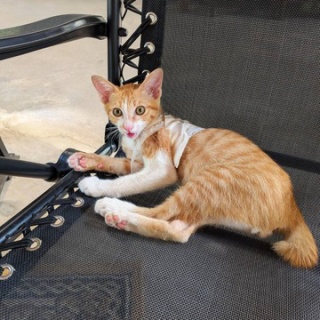 タイで思う。メコン川のほとりで。