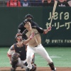 日ハム期待の超新星、野村佑希について語る会