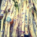 春のデトックスは「うど」にお任せ！心と体を整える大人の旬レシピ