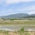 本日撮影　E257系5000番台による「あずさ71号」と「あずさ83号」より