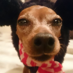新しい服❤