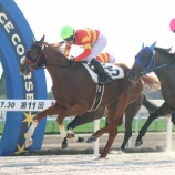 『【遠征馬情報】JRA札幌・クローバー賞に、ホッカイドウ競馬から4頭参戦!』の画像