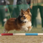 フォトグラファーチコソラのブログ