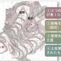 まんのう町図書館郷土史講座NO４　西長尾城は土佐軍によって大改修され「国吉城」となった。