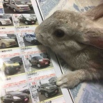 バツイチ管理人ろっきぃの『まるい荘』