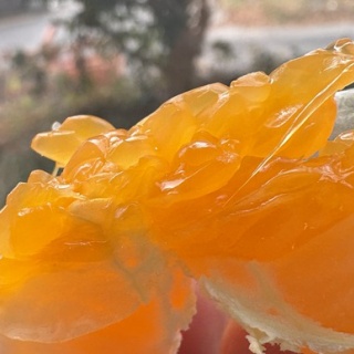 1000円グルメの旅