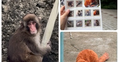 市川市動植物園へパンチくんに会いに&パンチくん切手を買うために長蛇の列に並んだ…