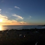 姫のひとりごと日記