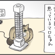 片目が隠れていれば全身隠れられている判定