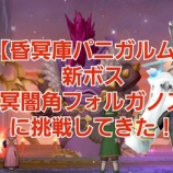 『【昏冥庫パニガルム】新ボス「冥闇角フォルガノス」に挑戦してきた！』の画像