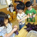 6月の保育