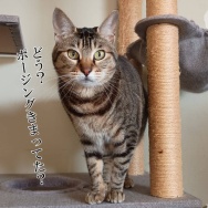 目が開かない。と、２０ルピーつくりました。