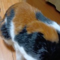 え、