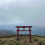 中予(愛媛)つーしん