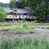 『晃石山・馬不入山・大明神山 -なんちゃって縦走half-』の画像