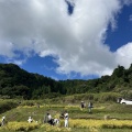 �����Ȱ��桢�����Ʋ����ʼ�Ż�����ޤ줿2����