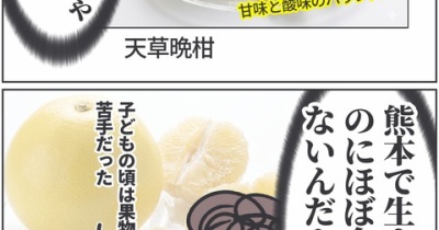 熊本出身なのに知らなかった、名物の良さ