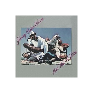 A Real Mother For Ya / Johnny Guitar Watson : FUNK OF AGES