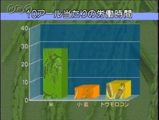 米←こいつが主食にふさわしくない理由が判明
