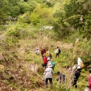 こんなんがあったのかこれはすごいぞ高畑勲監督作品のサントラ集