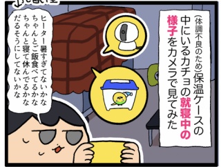 おお……寝相の悪いカチョリエル……