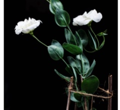 リンドウ科のトルコギキョウ（ユーストマ）の花弁の色をCRISPR-Cas9で塗り替える