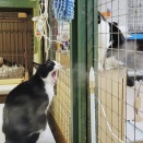 ライガー🐾とモン吉🙉