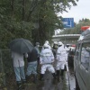 試合中の札幌ドーム周辺で「クマ」のような動物が目撃されるｗｗｗｗｗｗ