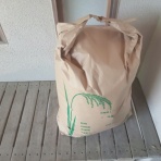 ももんがの飛膜
