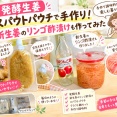 【発酵生姜】スパウトパウチで手作り！新生姜のリンゴ酢漬けも作ってみた
