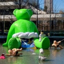 んぽちゃむ大阪1泊2日　たこ焼きとテッドイベール