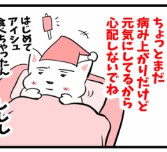 もうダメかと思いました。17歳のちーちゃんが深夜に突然倒れた日の記録