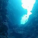世界で最も深いマリアナ海溝、汚染されてゴミだらけに