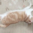 何よりも大切な