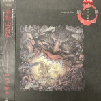 ディスクユニオン浦和店のストアブログ