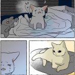 くららんち。～B型夫婦と猫２匹の日常～