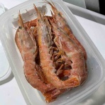 釣りができない週末なんて！