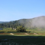 松之山温泉山の森のホテル　ふくずみ