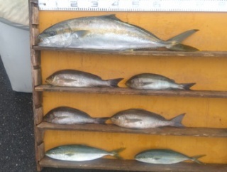 　　　　　　　　２０２５年11月9日