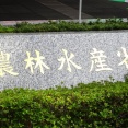 農水省「国産米高くなったがコメ離れは起きてなかった」なんG「誰もコメなんて食べてねぇよ」
