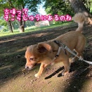 古墳多い千葉
